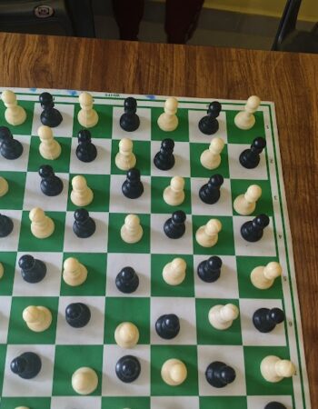 Chennai Elite Chess Academy,Chennai