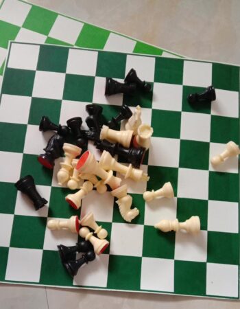 Garry Kasparov Chess Academy,Chennai