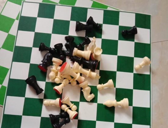 Garry Kasparov Chess Academy, Chennai