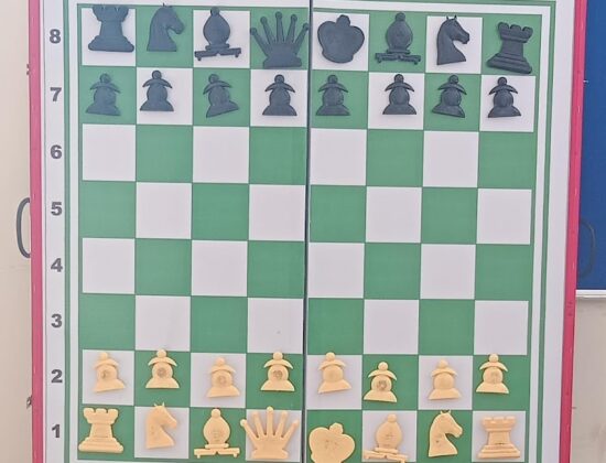 Next Level Chess Academy, Chennai