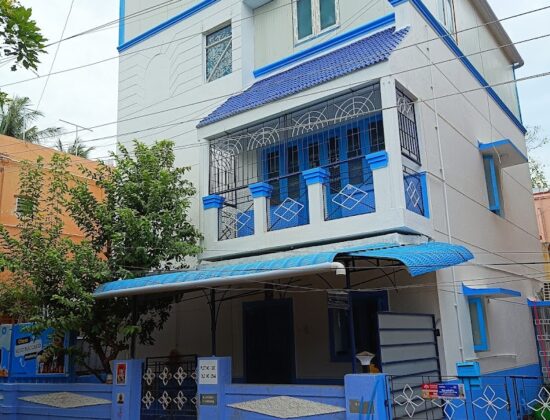 Seed Succeed Chess Academy, Chennai