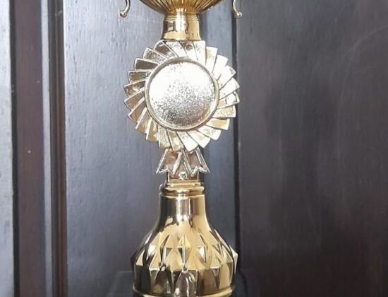 Velachery Chess Academy, Chennai