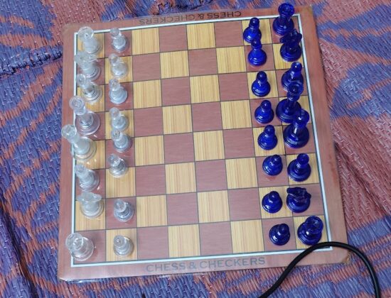 Mindful Chess Academy, Coimbatore