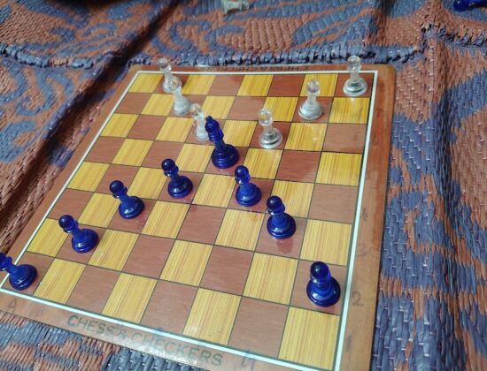 Mindful Chess Academy, Coimbatore