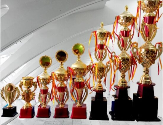 Praveen Chess Academy, Erode