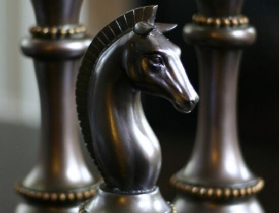 Anand Chess Academy, Karur